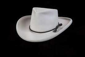 Waynes Hat