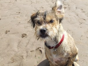 Keswick AUG 2011 070